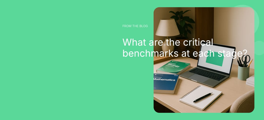 What are the critical benchmarks at each stage?